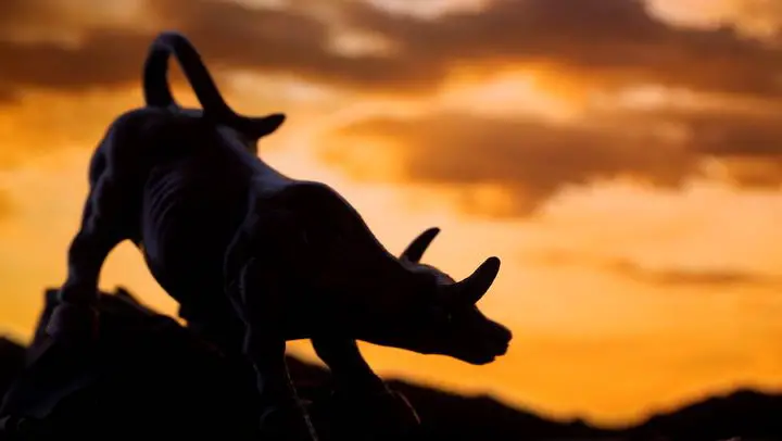 Bitcoin Price Rally and Institutional Investment Trends: 11% Surge